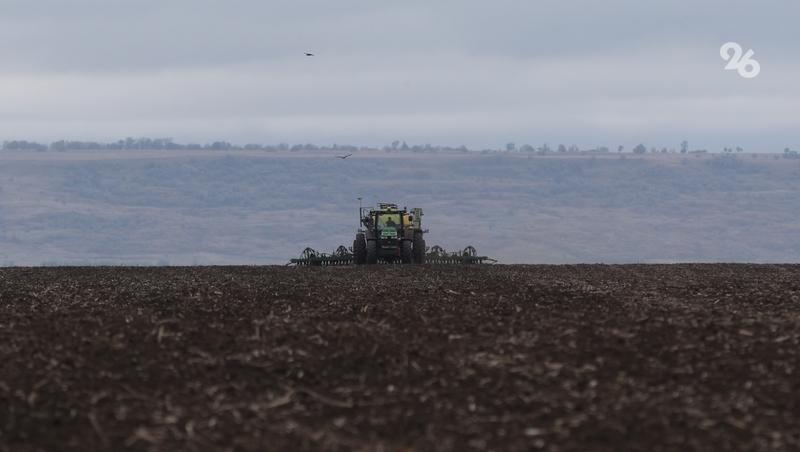 Глава Ставрополья: Осенний сев озимых завершён на 86%