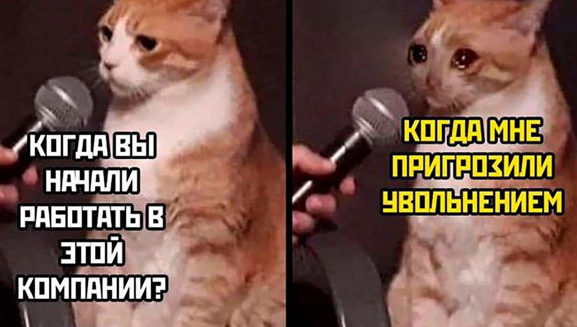 Гостворкинг: как коллеги превращаются в призраков и можно ли вернуть их к жизни7