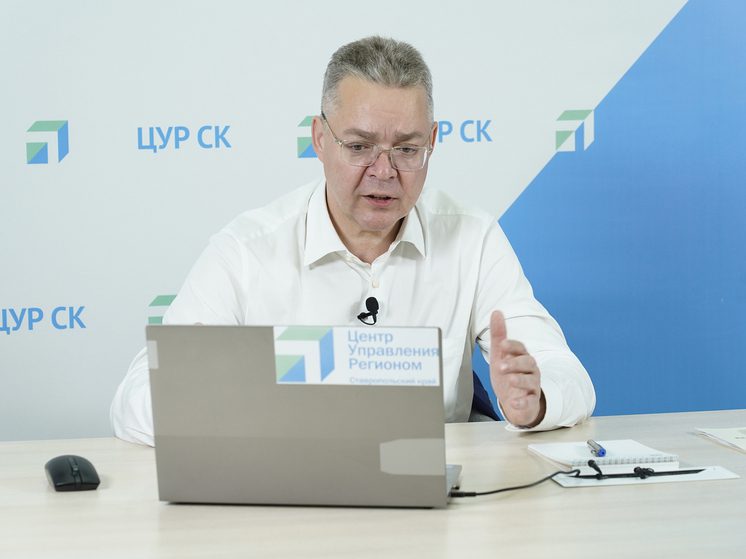 Губернатор Владимир Владимиров поручил разобраться с проблемой вывоза мусора в селе Степном