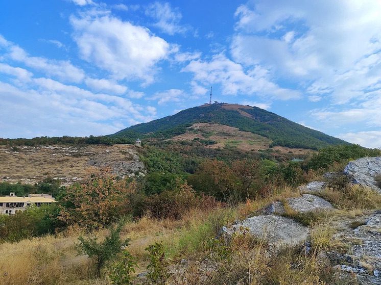 Юные исследователи представили 50 научных работ на региональной конференции в Пятигорске