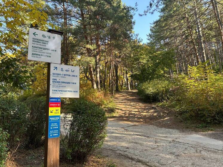 Кисловодск запускает творческий экологический конкурс для детей