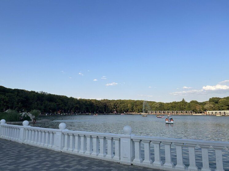 Лисы появились в курортной зоне Железноводска