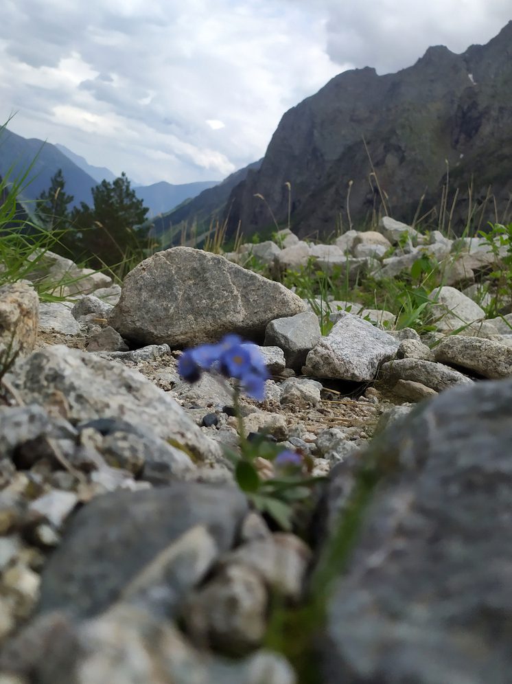 Маршрут к водопаду Шагацикомдон открыли после реконструкции в Северной Осетии