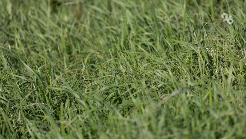 Минераловодский водоканал подозревают в нанесении ущерба почве на 19 млн рублей