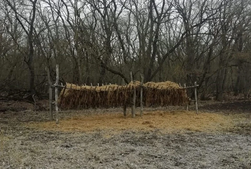 На Ставрополье готовят подкормочные площадки для диких животных0