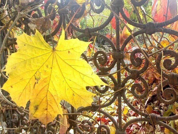 На Ставрополье «Кузьминки осенние»: история, традиции и приметы 14 ноября 2025 года