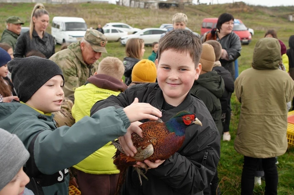 На Ставрополье на волю выпустили 200 фазанов0