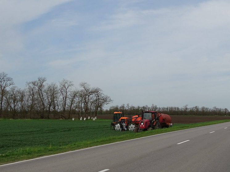 На Ставрополье площадь посевов озимых культур составила 2 017 тысяч га