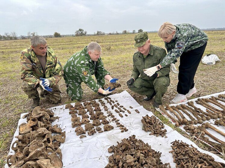 На Ставрополье подняли останки бойцов, павших в ожесточённых боях за Кавказ