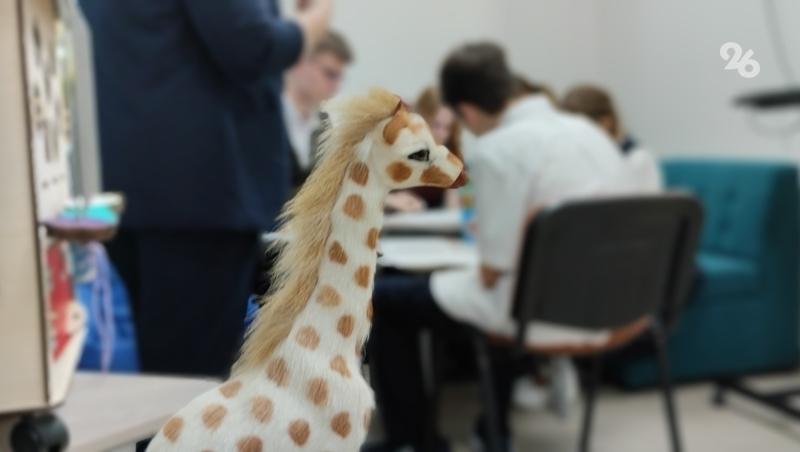 На уроках семьеведения в Ставрополе дети учатся улаживать конфликты с близкими