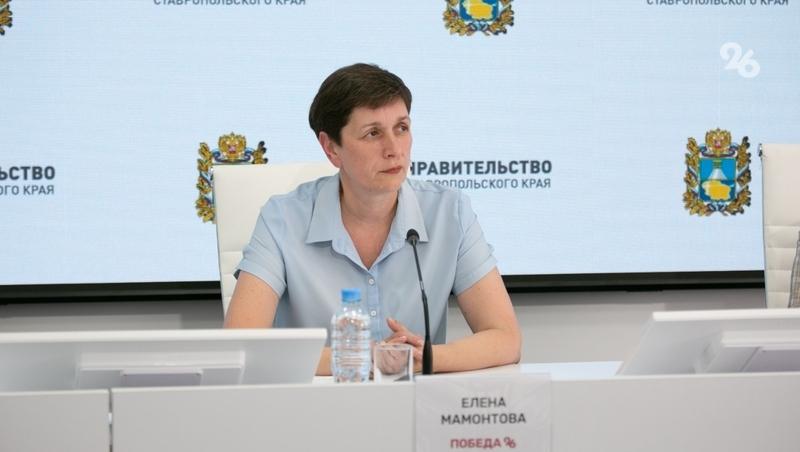 Несовершеннолетние могут трудоустроиться на Ставрополье благодаря спецпрограмме