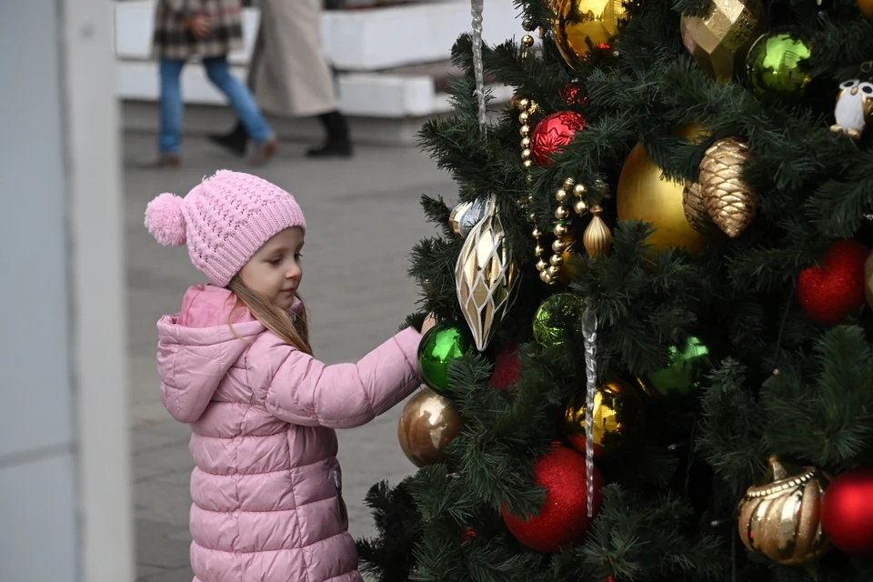 Новогодняя ночь в Ставрополе пройдет без салютов и массовых гуляний0