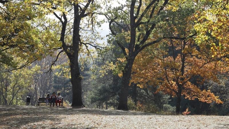 Осенний турпоход с главой города организуют в Кисловодске