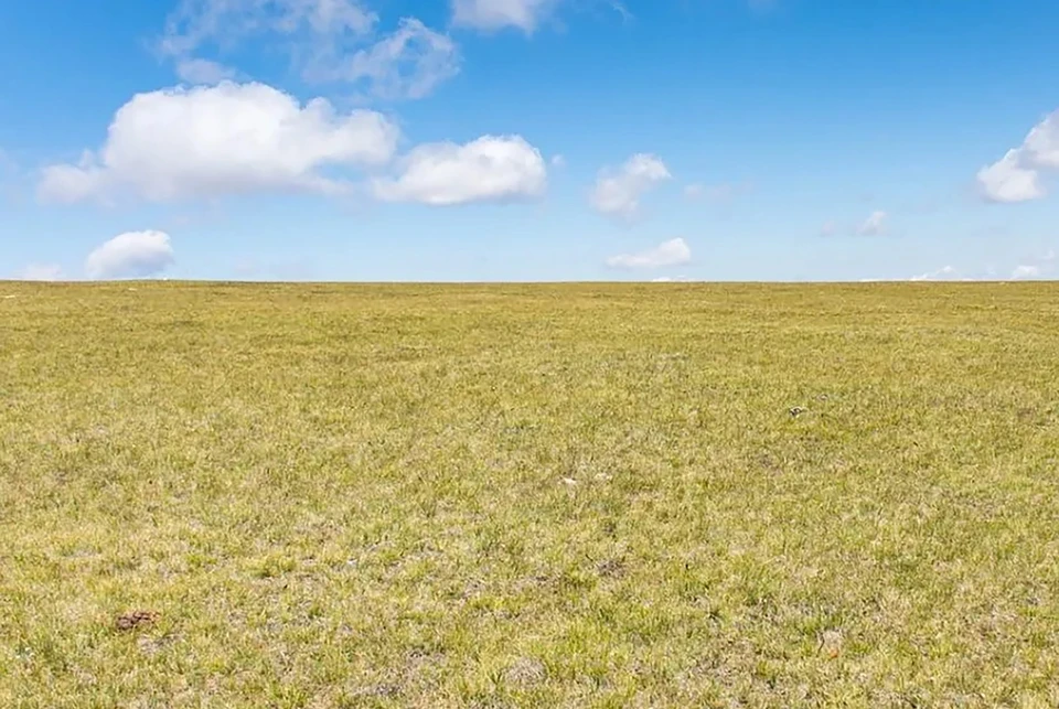 Овощевода на Ставрополье осудили за хищение более двух млн рублей субсидий0