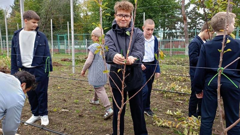 Первый школьный яблоневый сад заложили в Пятигорске