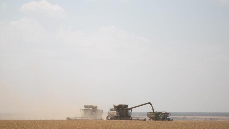 Политолог Игнатовский: Ставрополье укрепляет свою позицию в аграрной политике