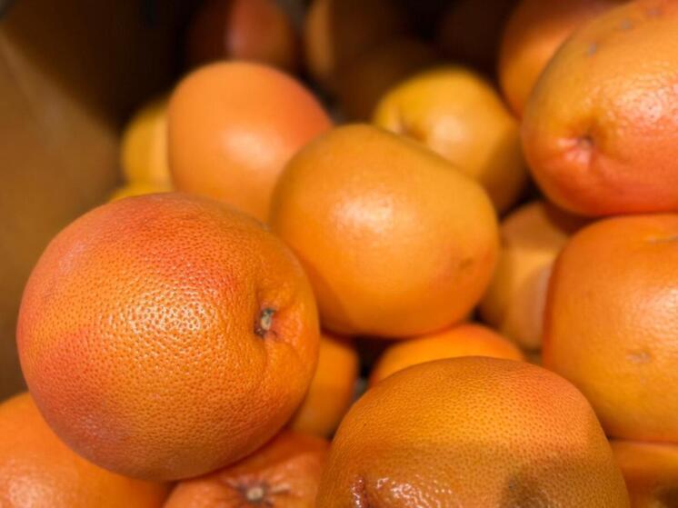 Предгорный округ отправит бойцам СВО тонну мандаринов