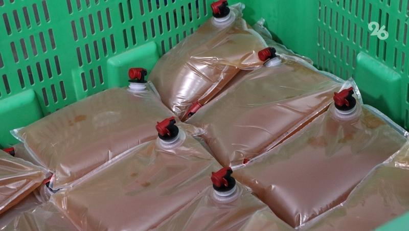 Производство соков и детского пюре запустят на Ставрополье при господдержке