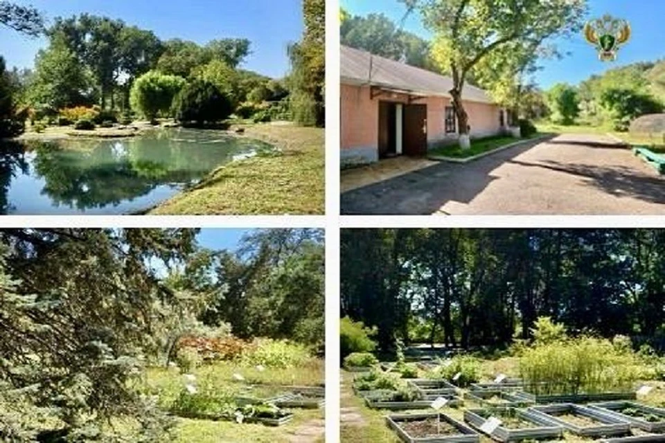 Прокуратура добилась особого статуса для старого ботанического сада в Пятигорске0