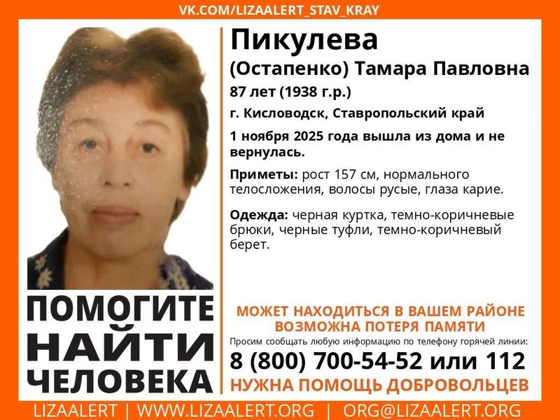 Пропавшую пенсионерку в чёрной куртке ищут в Кисловодске