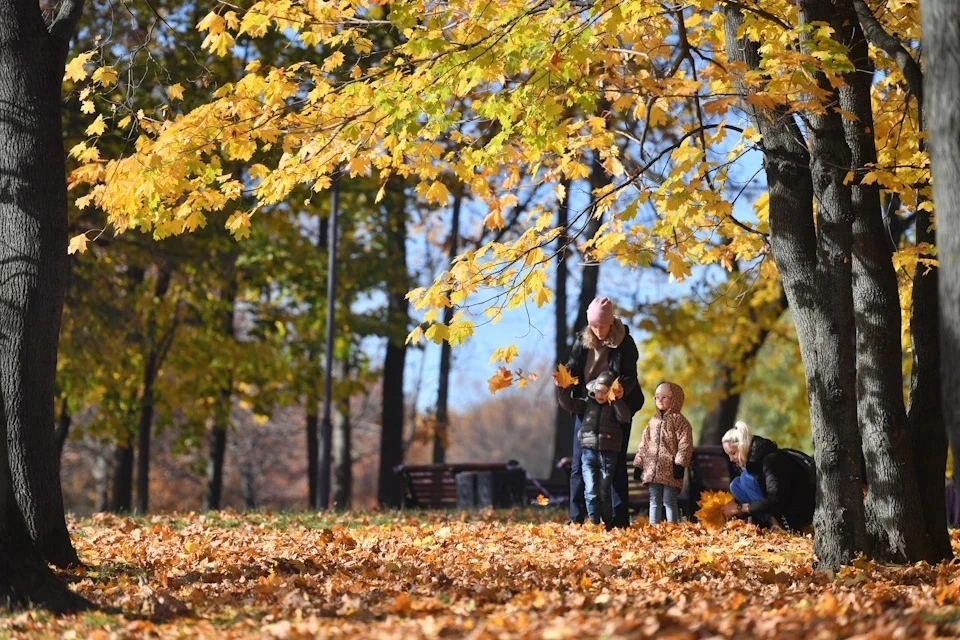 Резкое похолодание сменит жару на Ставрополье в начале недели0