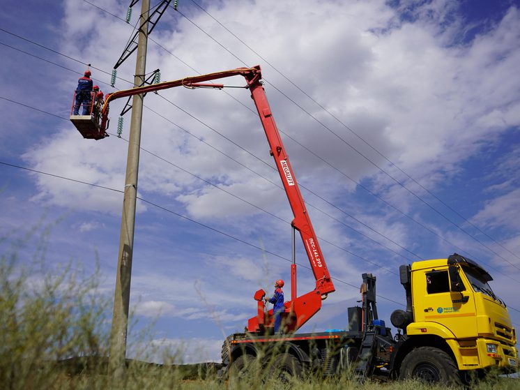 «Россети Северный Кавказ» установили 100 птицезащитных устройств на линиях электропередачи в Ингушетии