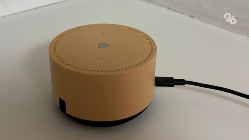 Россиянам посоветовали чистить историю запросов на колонке