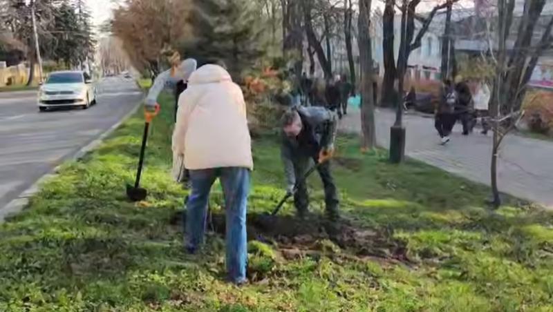 Саженцы дуба, клёна, каштана и других деревьев высадили на бульваре в Ставрополе