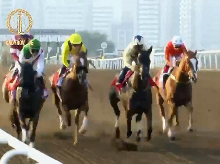 Скакун из Чечни завоевал Кубок Emirates в Дубае