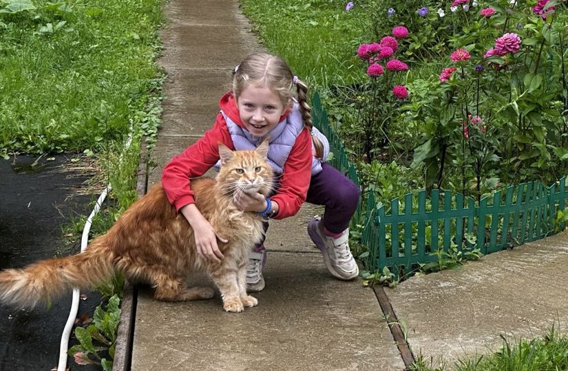 Собака, кошка или хомячок? Как выбрать первого питомца ребёнку0