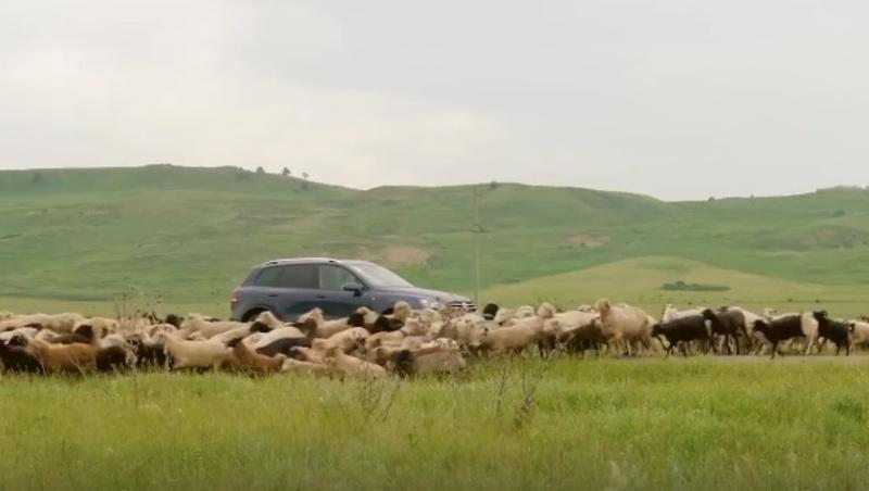 Создатели снятой на Кавказе киноленты «Испытания аулом» выпустят продолжение