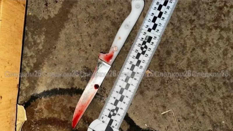 Ставропольца взяли под стражу по подозрению в убийстве брата