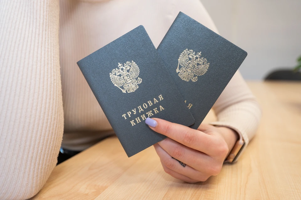 Ставрополье и КБР стали самыми перспективными из регионов СКФО в трудоустройстве0