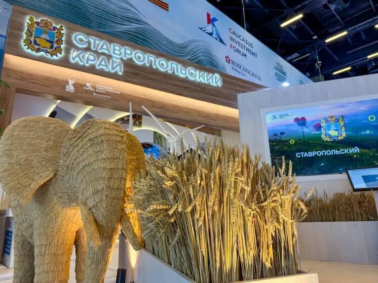 Ставрополье вновь станет площадкой для Кавказского инвестиционного форума в 2026 году