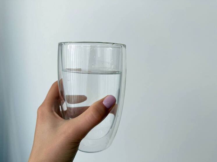 Ставрополье вышло на новые рынки: Либерия, Йемен и Бенин