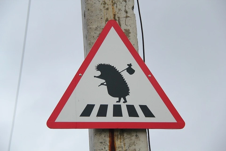 Ставропольских водителей предупреждают о густом тумане на дорогах края0