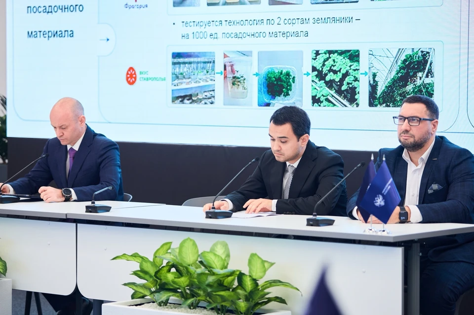 Ставропольский вуз защитил планы по программе развития на 2026 год0