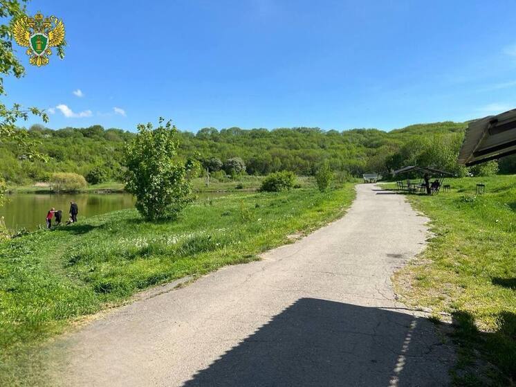 Суд обязал ставропольца демонтировать незаконную зону отдыха у Елагина пруда