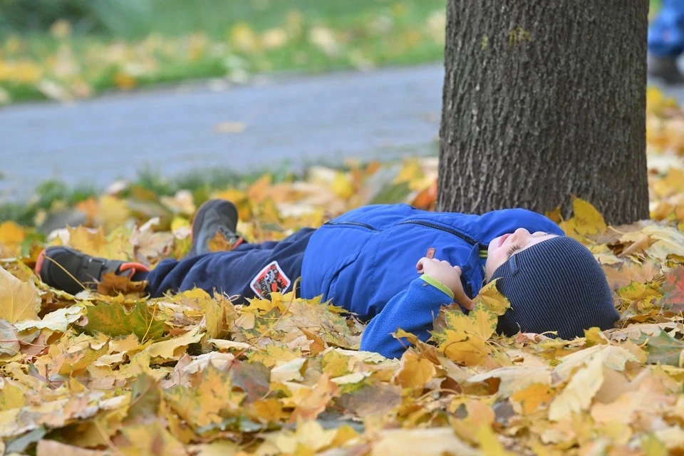 Температурный рекорд десятилетней давности побит на Ставрополье0