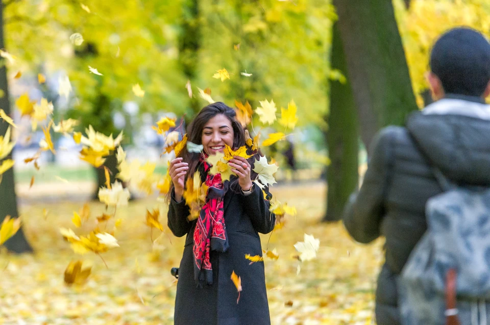 Теплую погоду ожидают в начале короткой рабочей недели на Ставрополье0