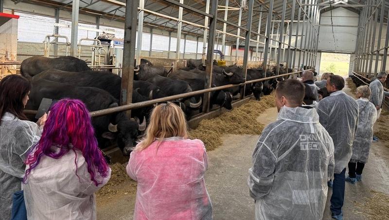 Туроператоры России посетили ферму, винодельню и Казанский собор в Ставрополе