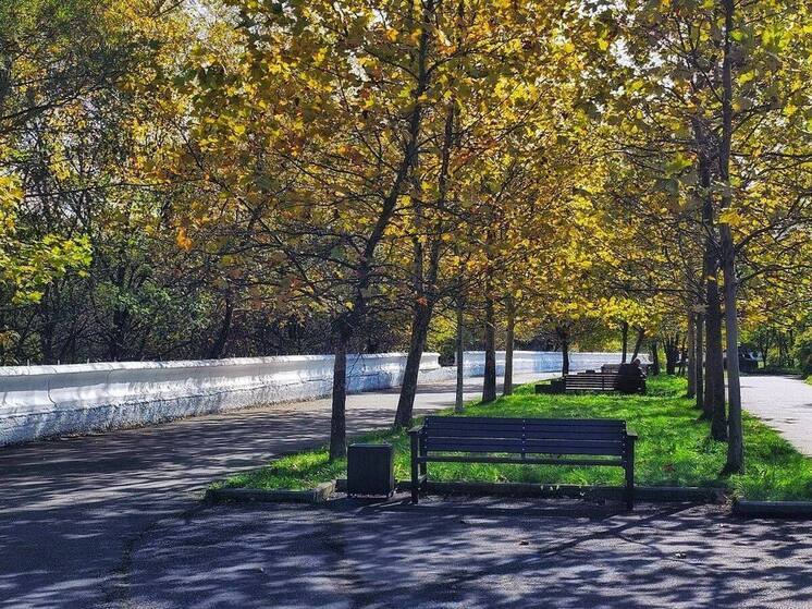 Участок набережной Терека во Владикавказе благоустроили в рамках нацпроекта