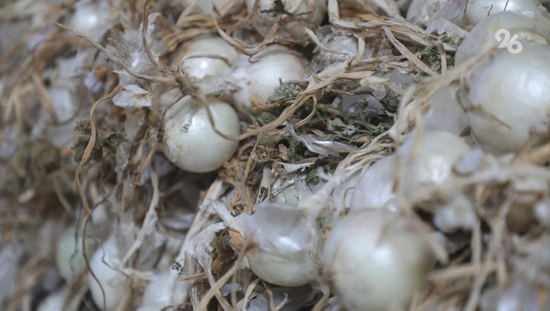 Урожай овощей полностью собрали в Будённовском округе 