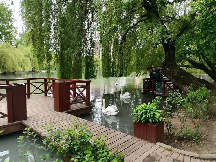 В Центральном парке Владикавказа восстановят Шахматный клуб