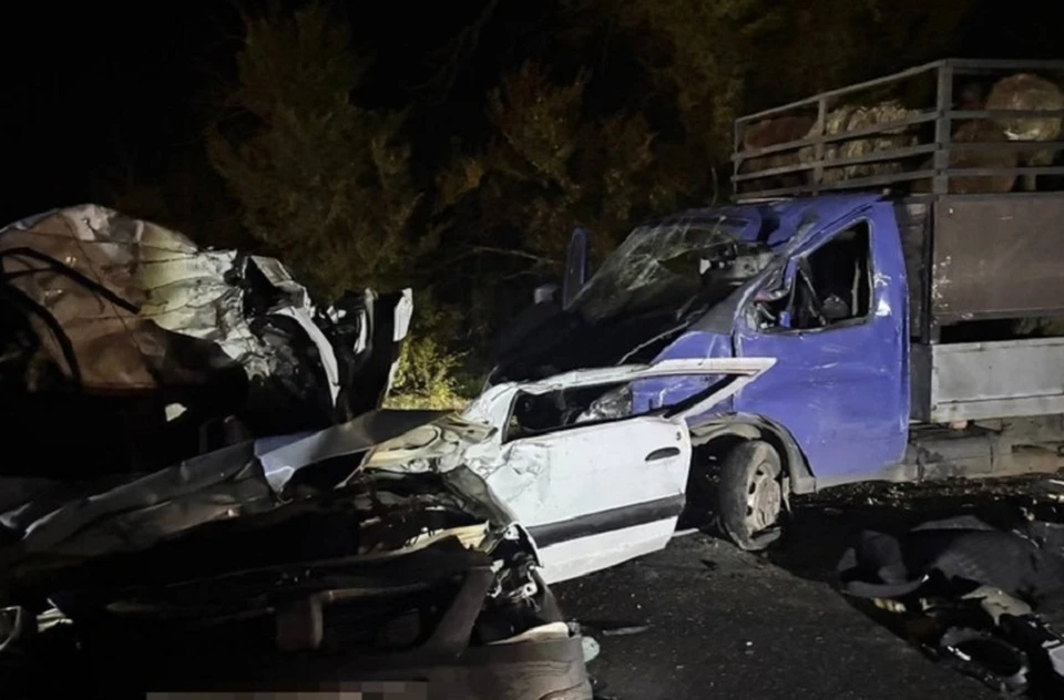 В ДТП с грузовой ГАЗелью на Ставрополье погибли водитель и пассажир легковушки0