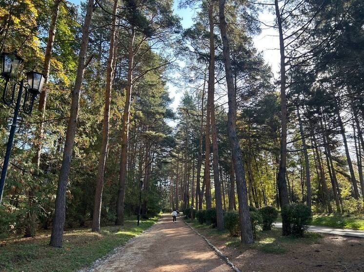 В Кисловодске 29 ноября пройдет масштабная экологическая акция по озеленению