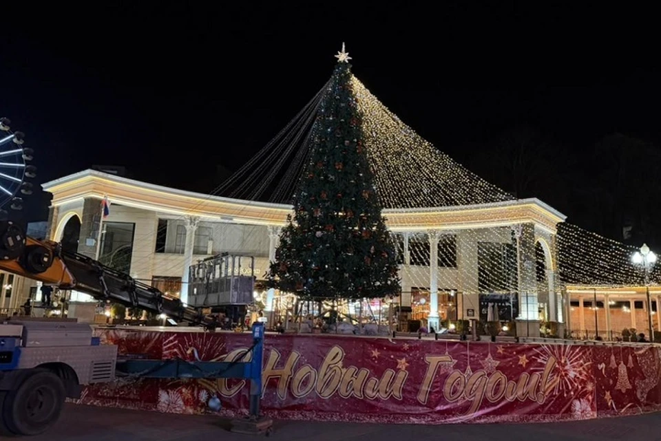В Кисловодске на главном бульваре установили новогоднюю елку0