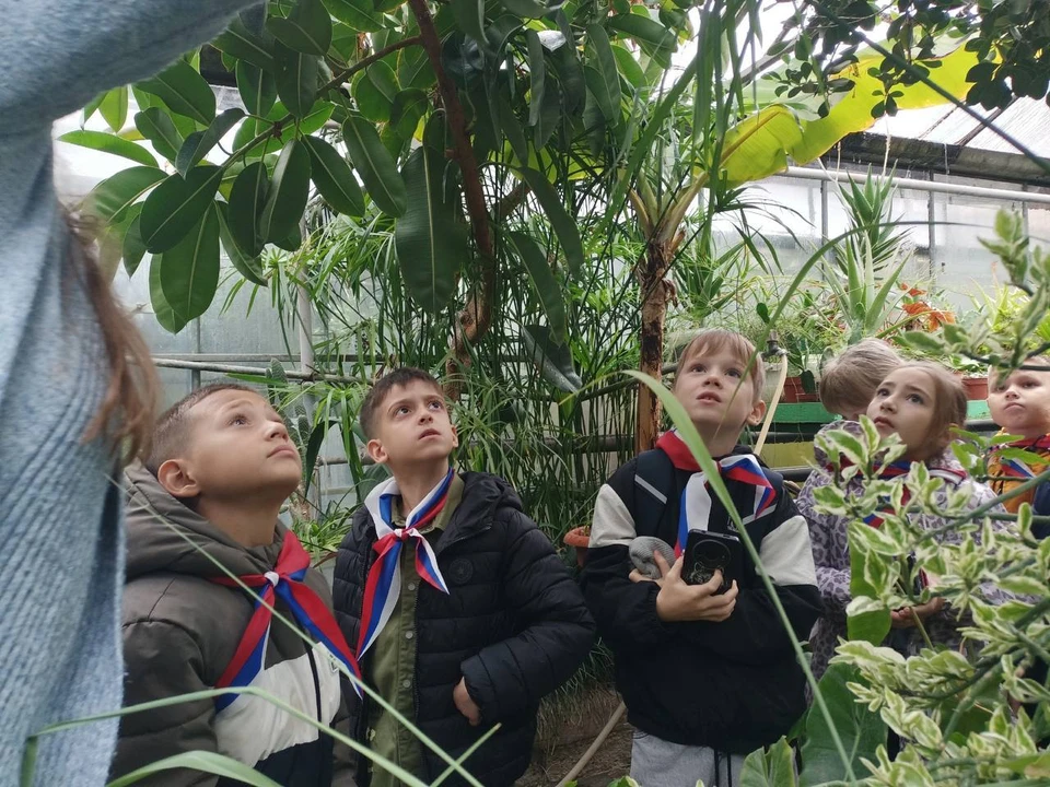 В Кисловодске с начала 2025 года провели более 200 экологических мероприятий0