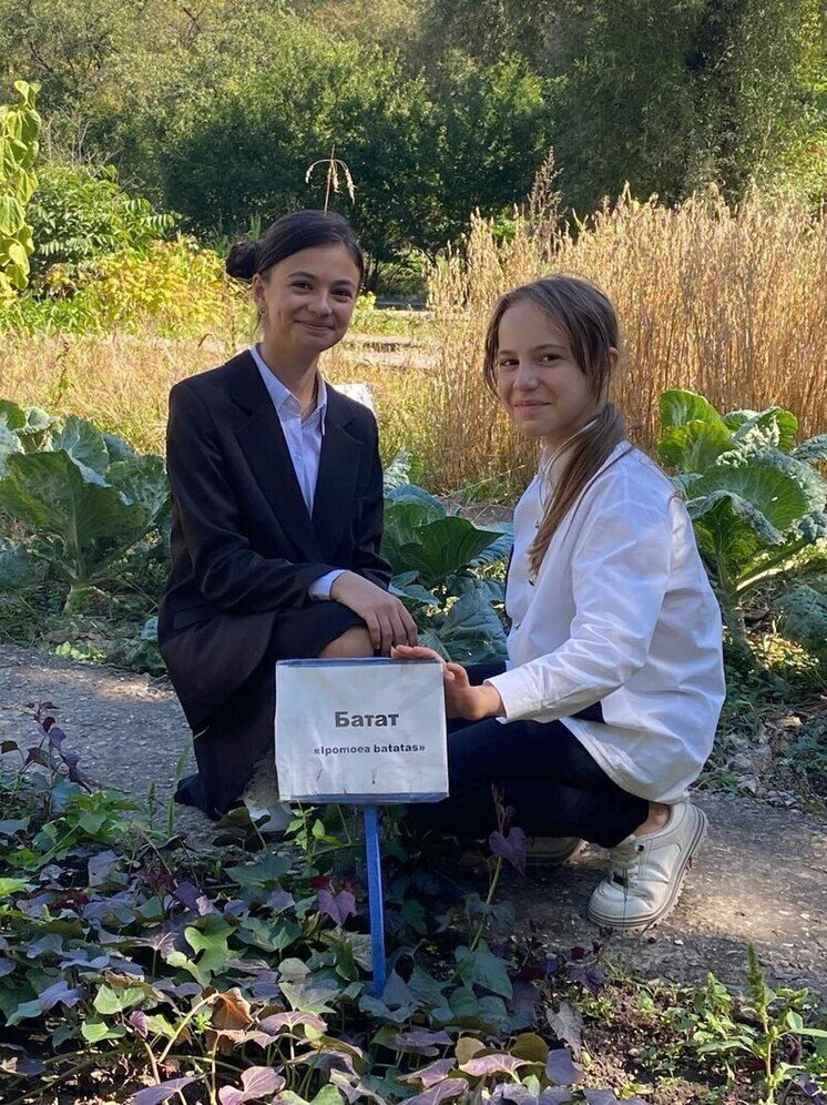 В Кисловодске с начала года провели более 200 экологических мероприятий