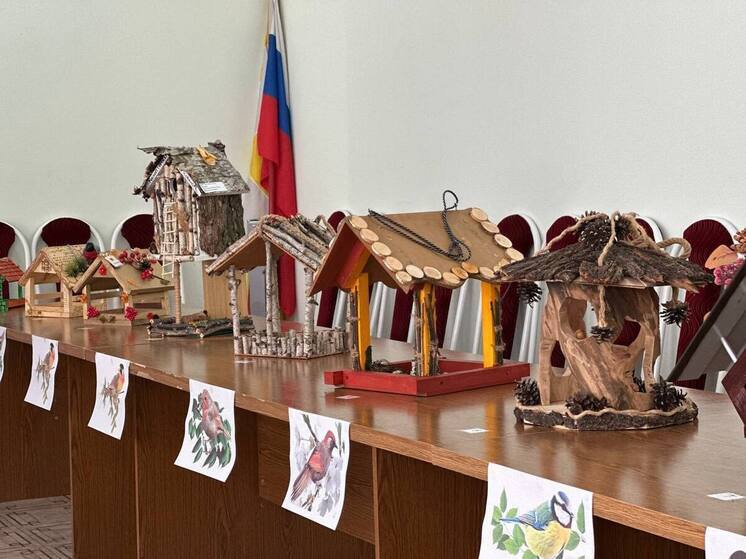 В Кисловодске выбрали лучшие кормушки для птиц в рамках экологического конкурса